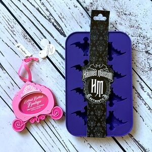 RARE Disney Haunted Mansion Silicone Chocolate & Ice Mold Tray & Princess Frame